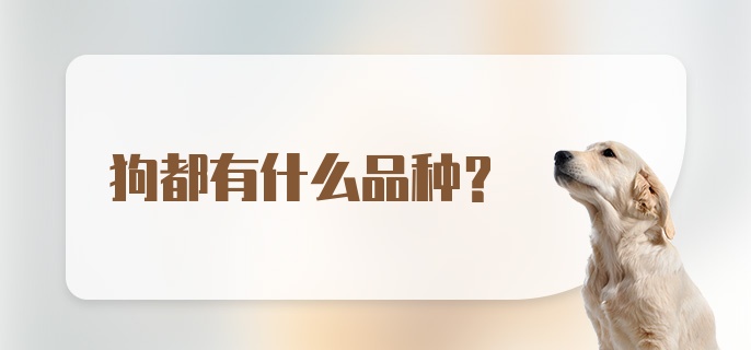 狗都有什么品种？