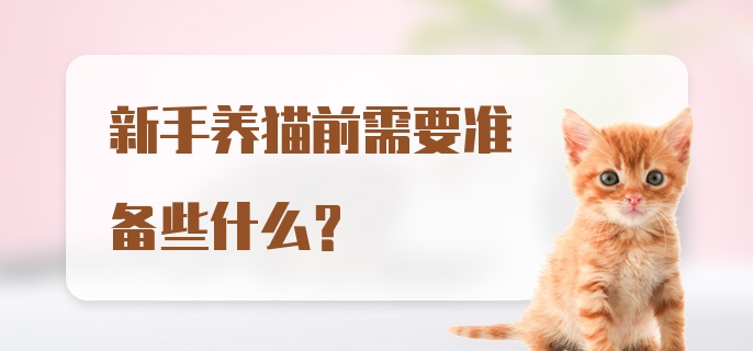 新手养猫前需要准备些什么？