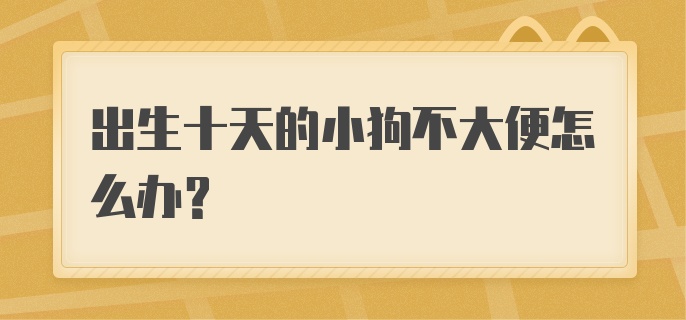 出生十天的小狗不大便怎么办？