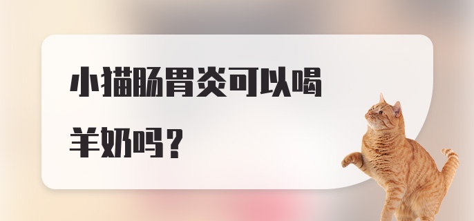 小猫肠胃炎可以喝羊奶吗？