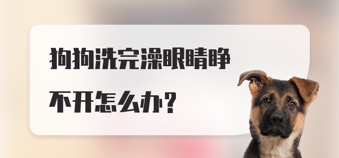 狗狗洗完澡眼睛睁不开怎么办?