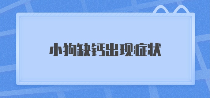 小狗缺钙出现症状