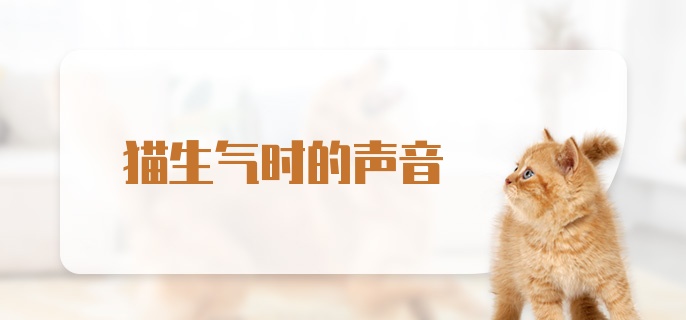 猫生气时的声音