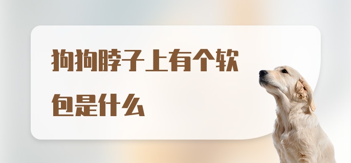 狗狗脖子上有个软包是什么