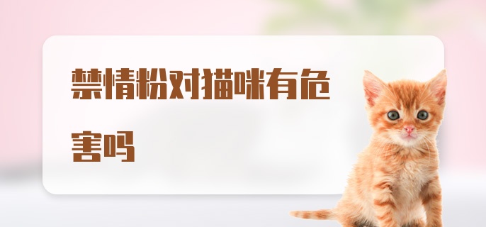 禁情粉对猫咪有危害吗