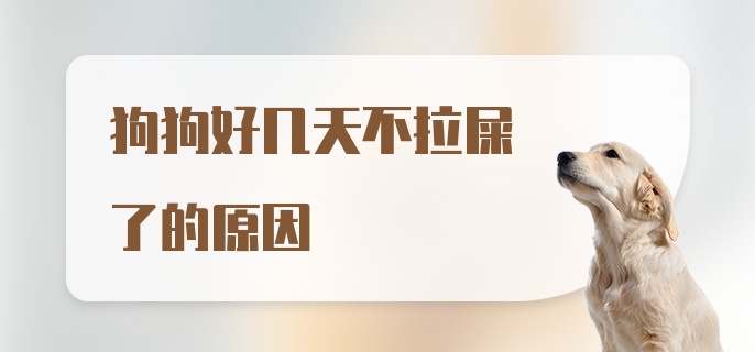 狗狗好几天不拉屎了的原因