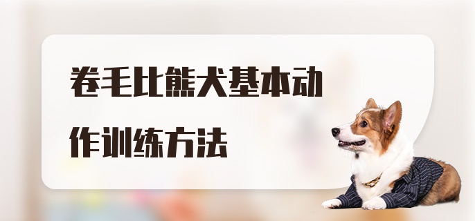 卷毛比熊犬基本动作训练方法