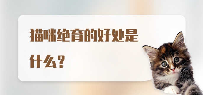 猫咪绝育的好处是什么？