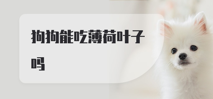 狗狗能吃薄荷叶子吗