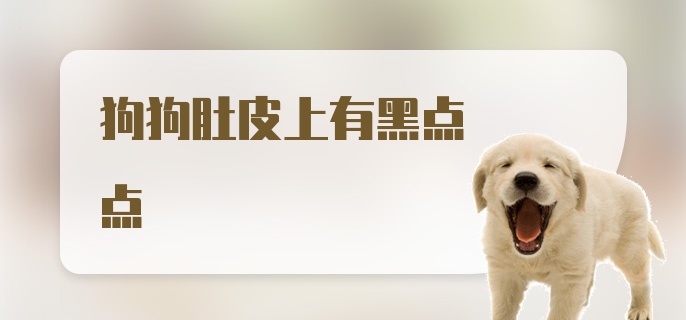 狗狗肚皮上有黑点点