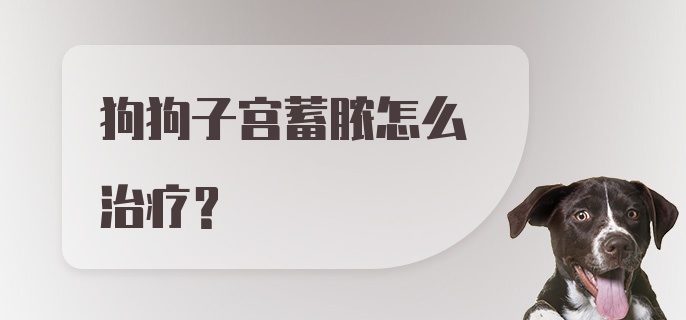 狗狗子宫蓄脓怎么治疗？