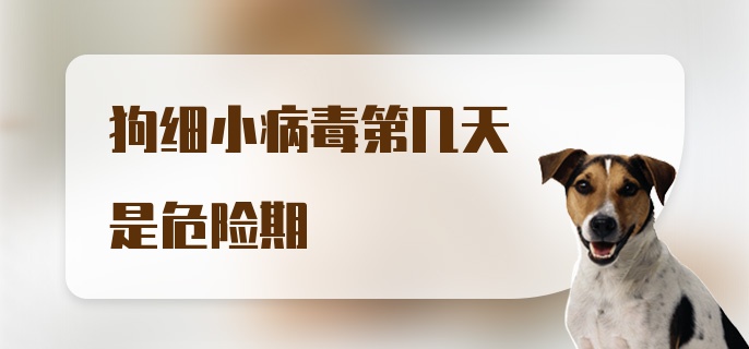 狗细小病毒第几天是危险期