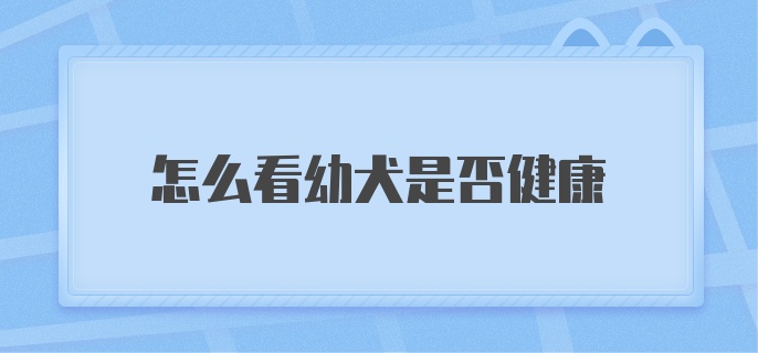 怎么看幼犬是否健康