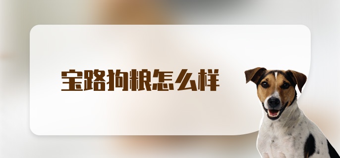 宝路狗粮怎么样