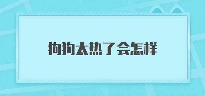 狗狗太热了会怎样