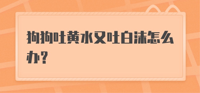 狗狗吐黄水又吐白沫怎么办?