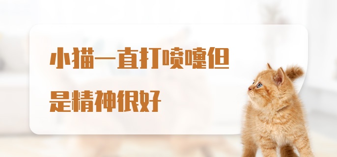 小猫一直打喷嚏但是精神很好