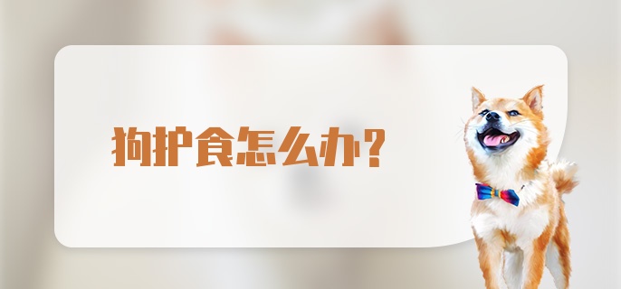 狗护食怎么办？