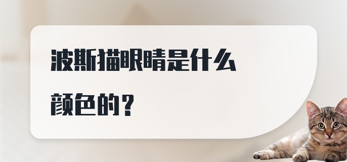 波斯猫眼睛是什么颜色的？