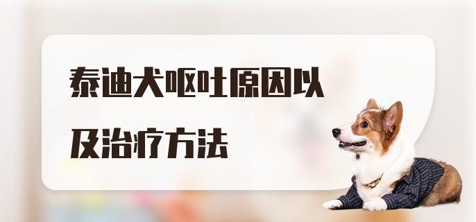 泰迪犬呕吐原因以及治疗方法