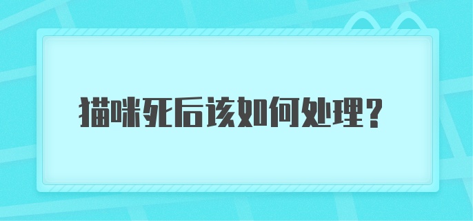 猫咪死后该如何处理？