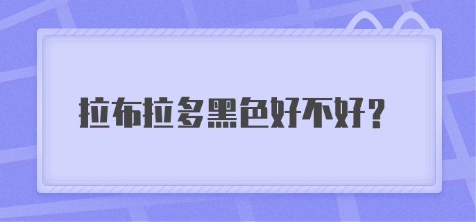 拉布拉多黑色好不好？