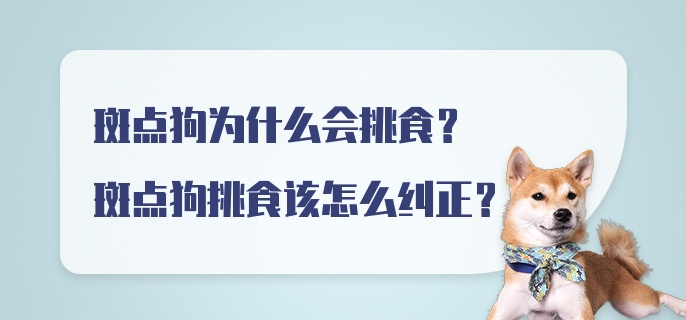 斑点狗为什么会挑食？斑点狗挑食该怎么纠正？