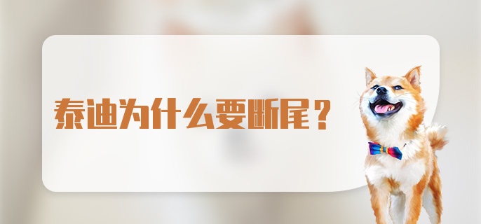 泰迪为什么要断尾？