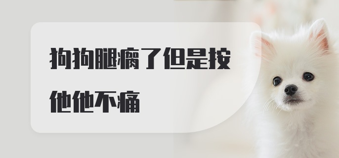 狗狗腿瘸了但是按他他不痛