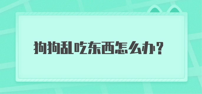 狗狗乱吃东西怎么办？