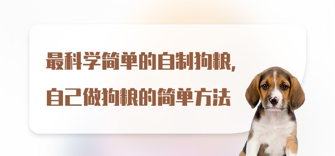 最科学简单的自制狗粮，自己做狗粮的简单方法