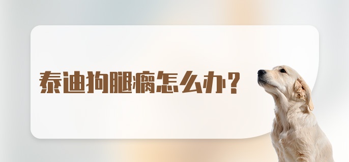 泰迪狗腿瘸怎么办?