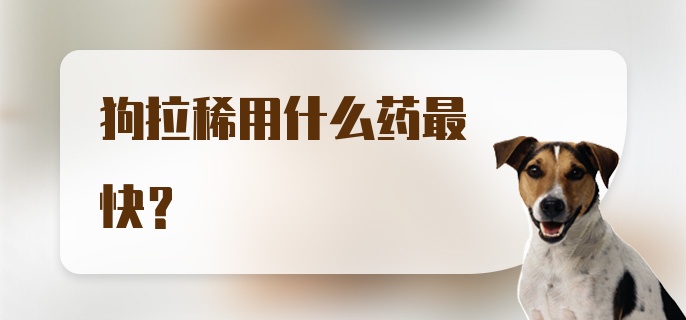 狗拉稀用什么药最快？