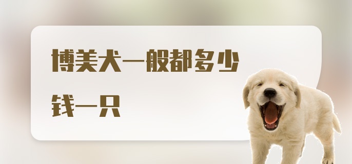 博美犬一般都多少钱一只