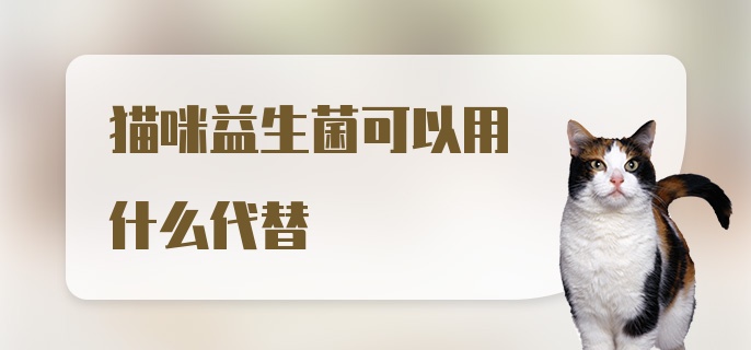 猫咪益生菌可以用什么代替