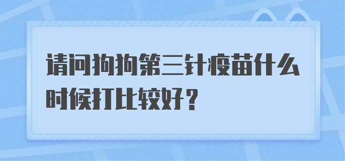 请问狗狗第三针疫苗什么时候打比较好？