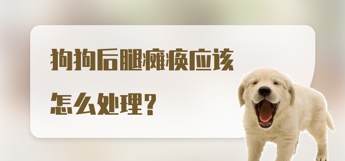 狗狗后腿瘫痪应该怎么处理？