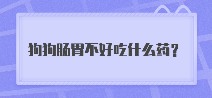 狗狗肠胃不好吃什么药?