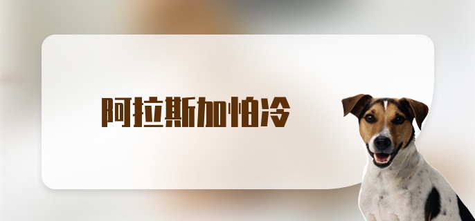 阿拉斯加怕冷