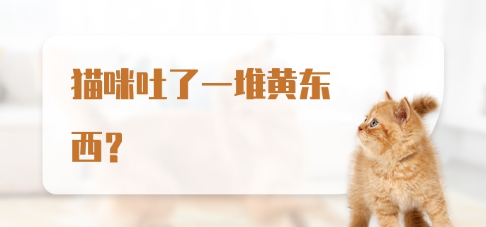 猫咪吐了一堆黄东西？