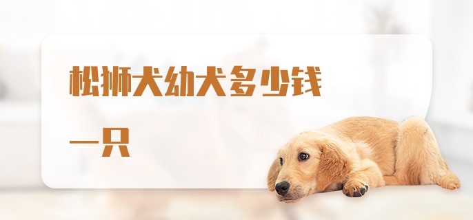 松狮犬幼犬多少钱一只