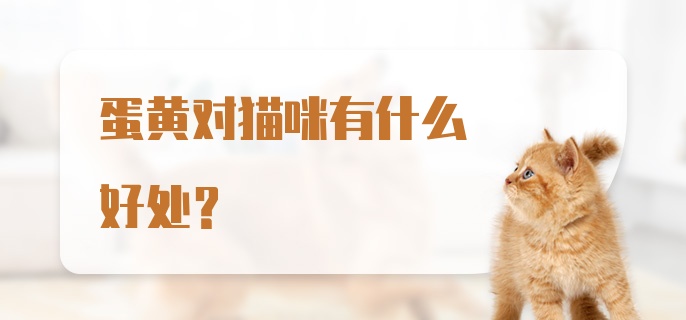 蛋黄对猫咪有什么好处？