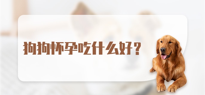 狗狗怀孕吃什么好？