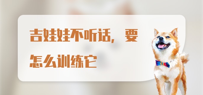 吉娃娃不听话，要怎么训练它