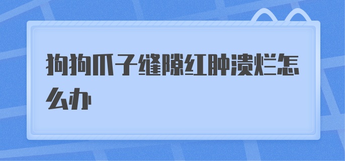 狗狗爪子缝隙红肿溃烂怎么办