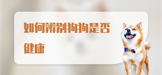 如何辨别狗狗是否健康