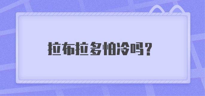 拉布拉多怕冷吗?