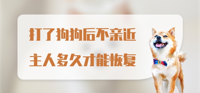 打了狗狗后不亲近主人多久才能恢复