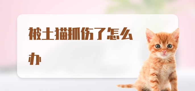 被土猫抓伤了怎么办