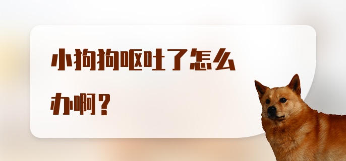 小狗狗呕吐了怎么办啊？